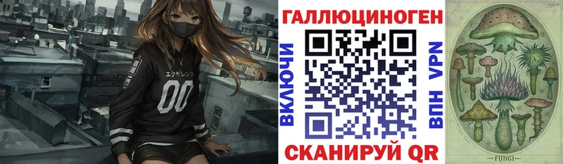 Псилоцибиновые грибы Psilocybe  Павлово 