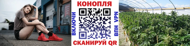 shop состав  Павлово  Марихуана White Widow 